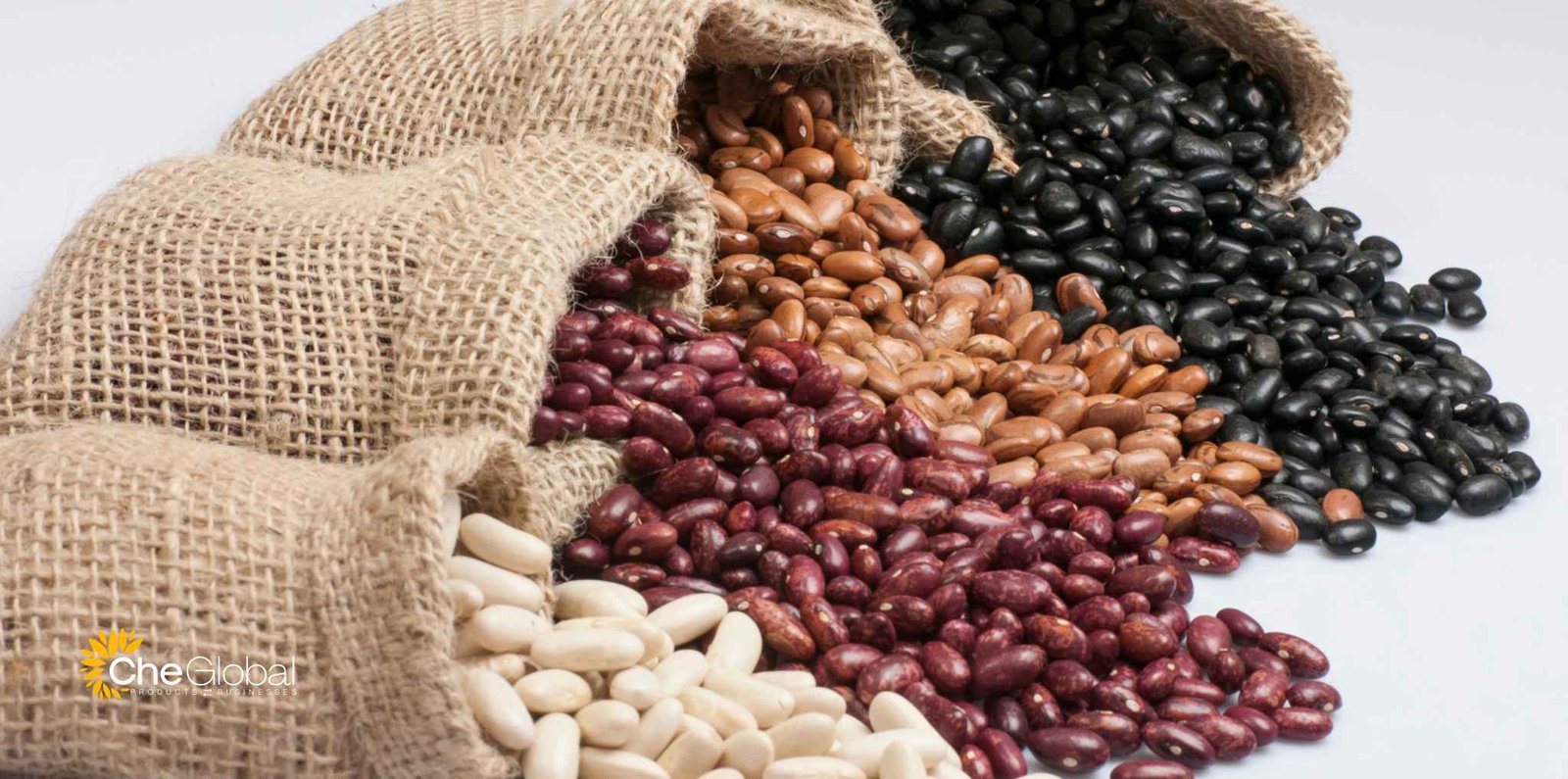 Grains & Cereals 25 kidney beans