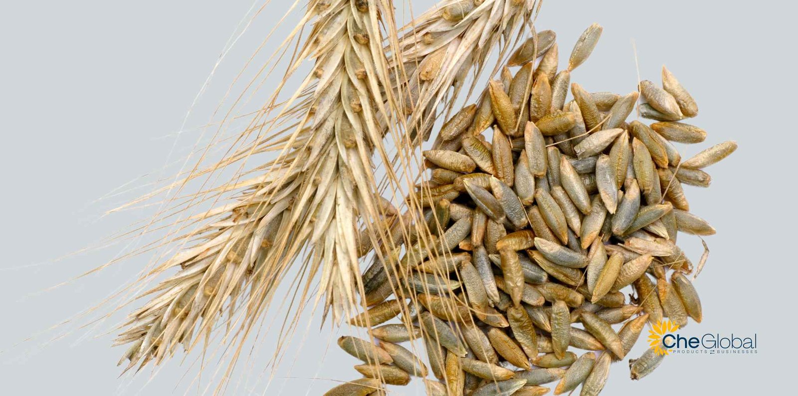 rye