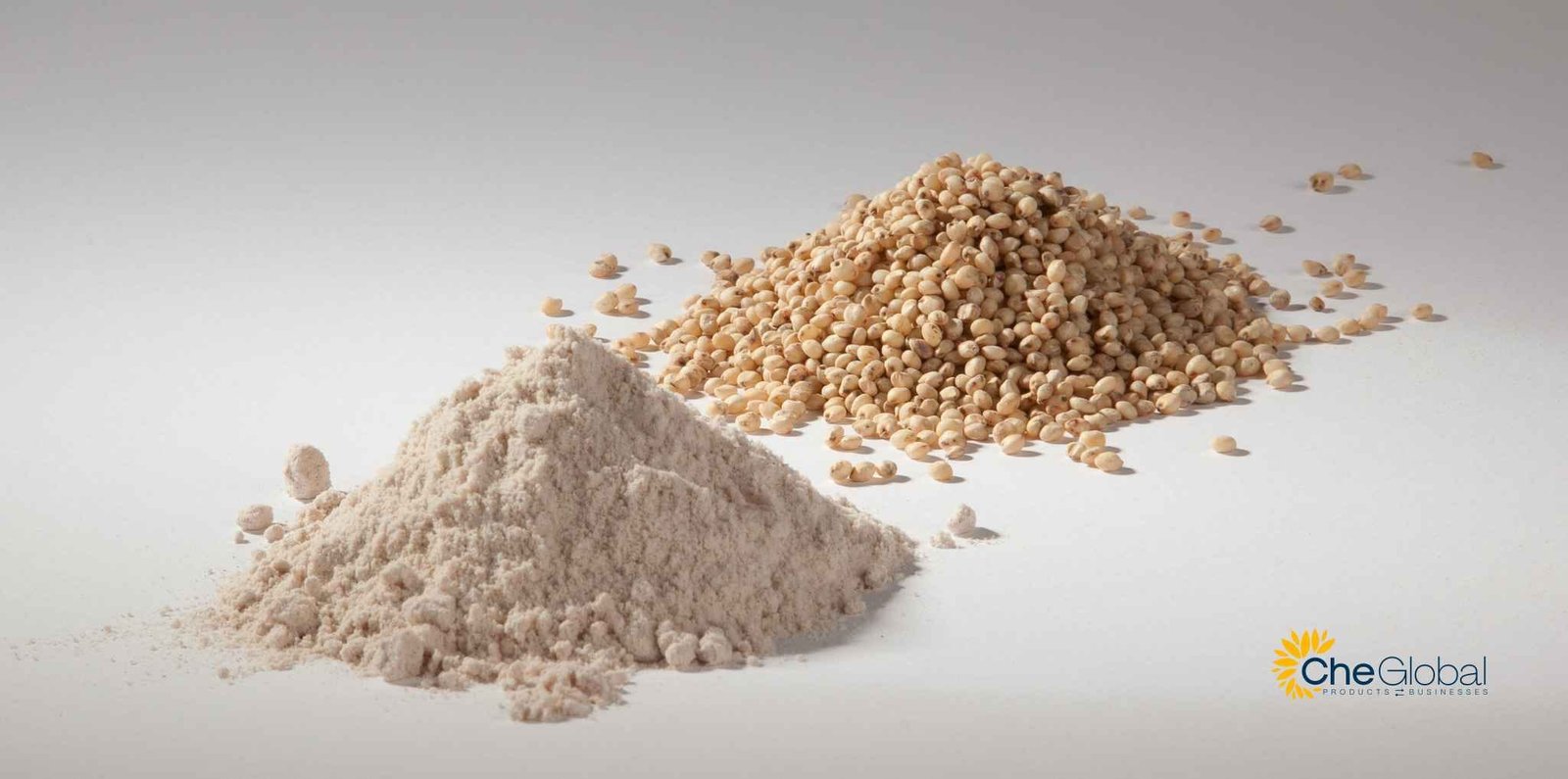 sorghum-jawari sorghum