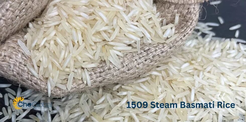 1509 Basmati Rice | #1 Top Exporter From India