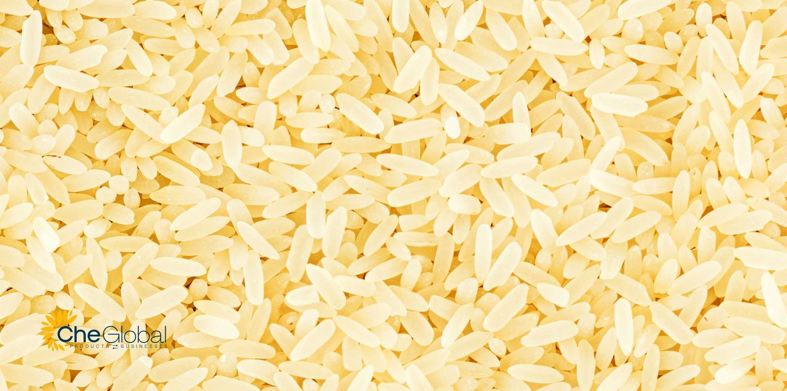 PR11 Non Basmati Rice 12 pr11 golden sella non basmati rice