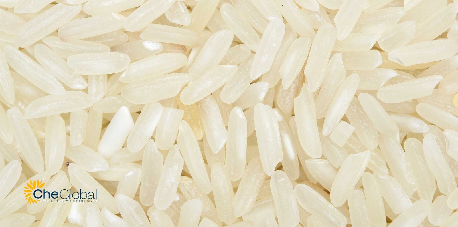 PR14 Non Basmati Rice 9 pr14 raw non basmati rice